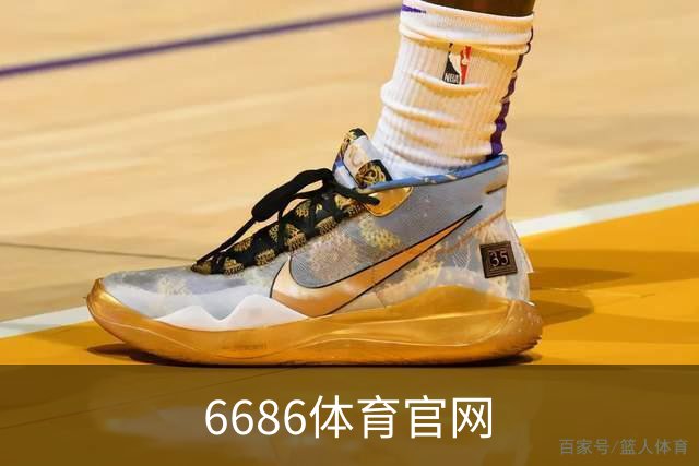 6686体育官网公司简介图片